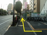 大久保通り沿いを登る